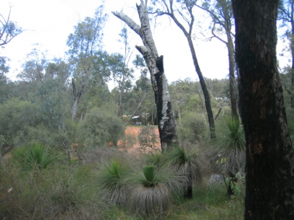 zimni bush nedaleko Perth